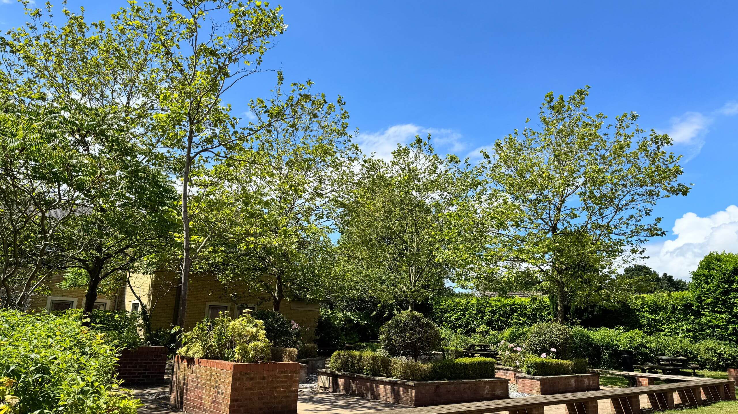The Grange School Memorial Garden